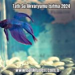 Tatli-Su-Akvaryumu-Isitma-2024
