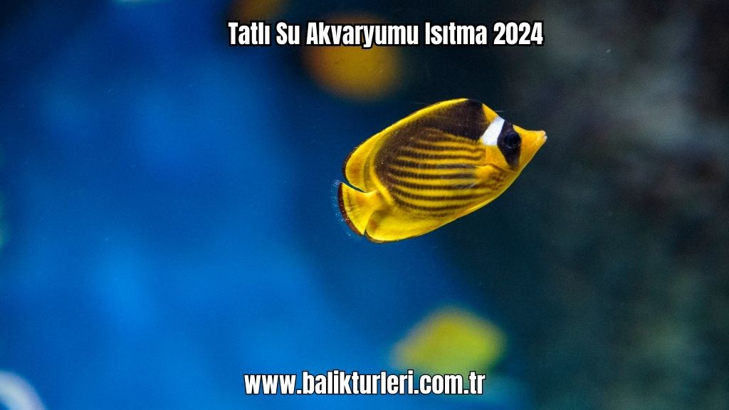 akvaryum ısıtıcı