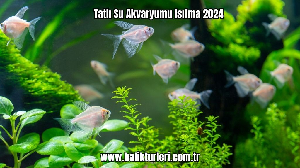 akvaryum ısıtıcı
