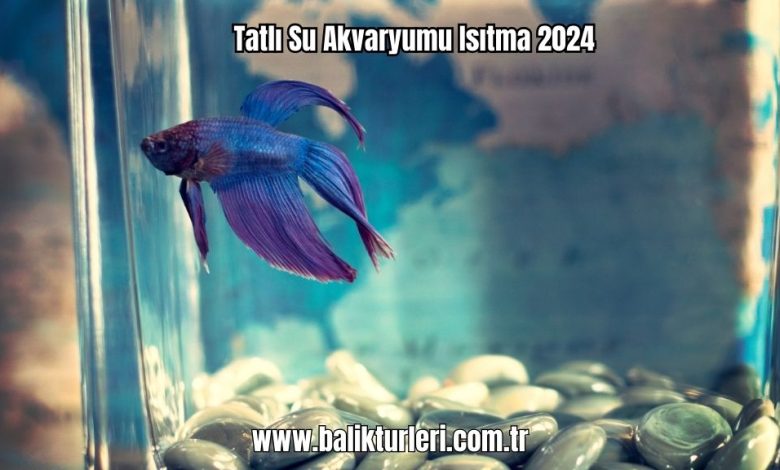 Tatli-Su-Akvaryumu-Isitma-2024