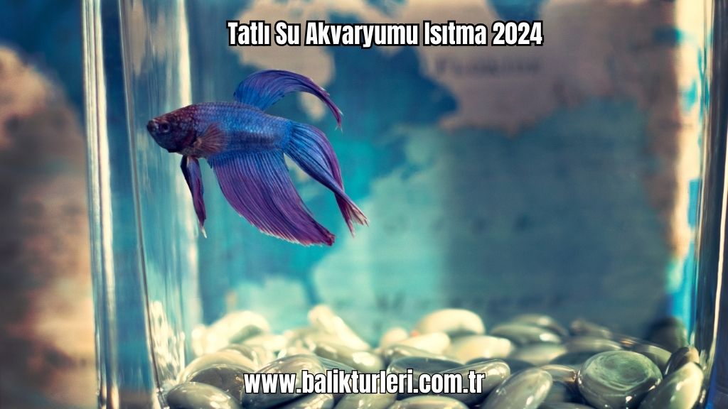 akvaryum ısıtıcı