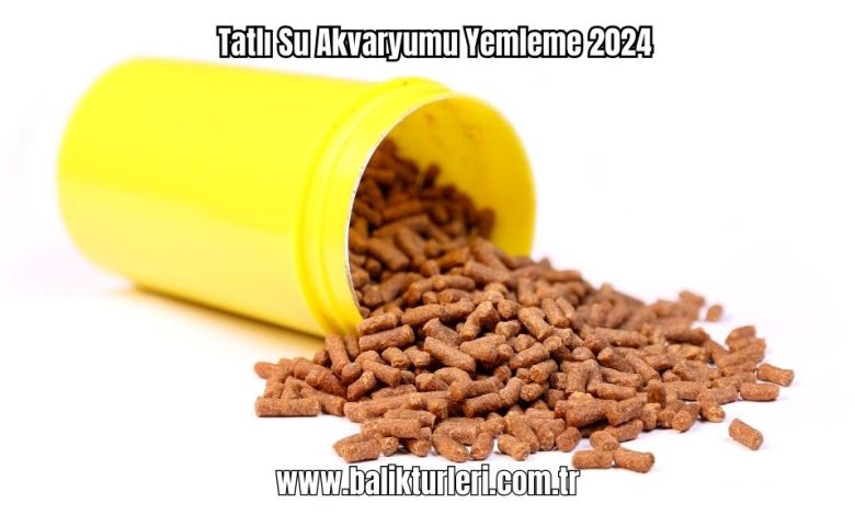 Tatli-Su-Akvaryumu-Yemleme-2024