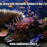 Tuzlu-Su-Akvaryum-Kurulumu-Rehberi-Adan-Zye-2024