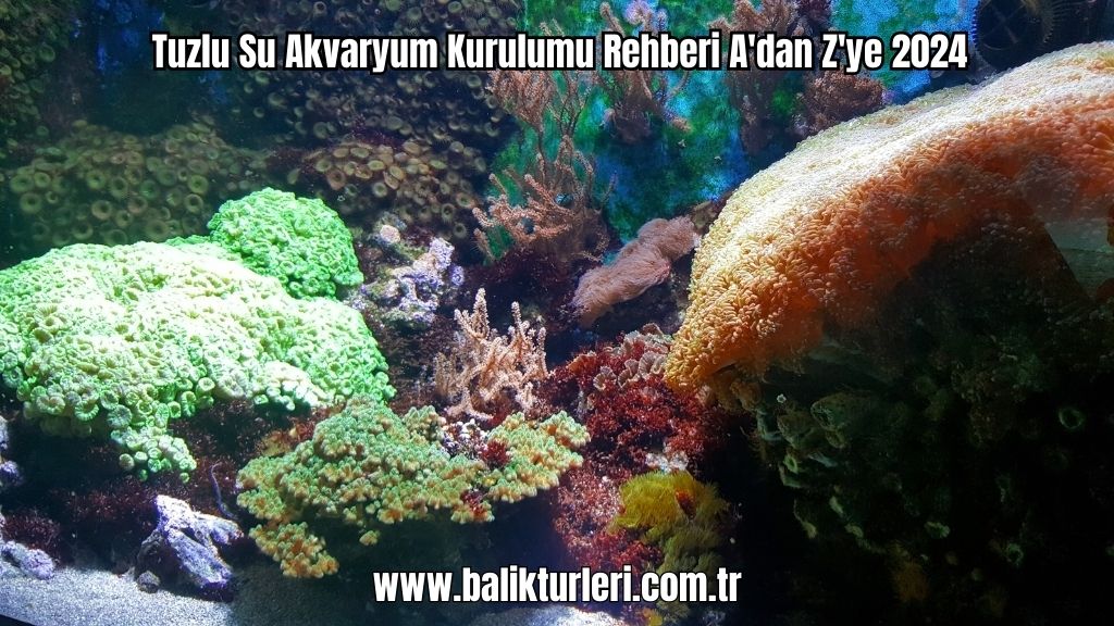Tuzlu Su Akvaryum