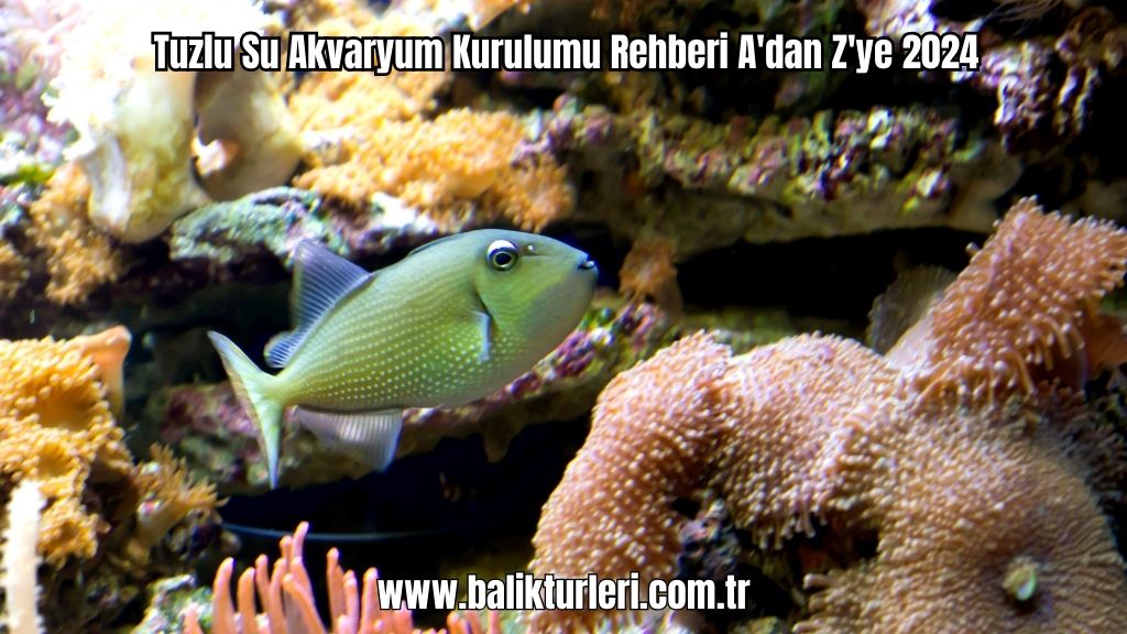 Tuzlu Su Akvaryum