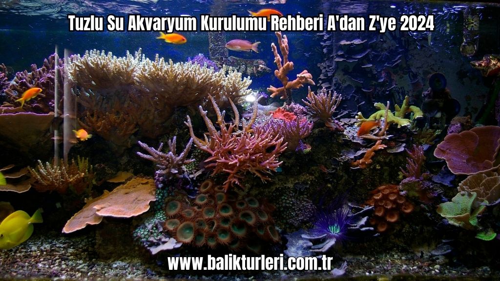 Tuzlu Su Akvaryum