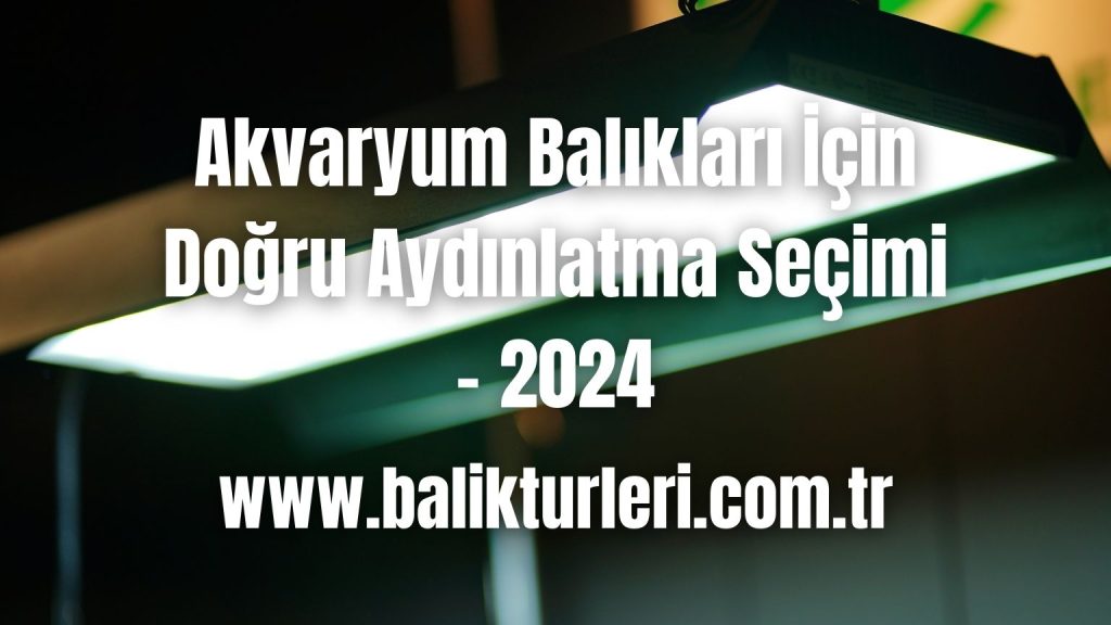 Akvaryum Balıkları İçin Doğru Aydınlatma Seçimi - 2024