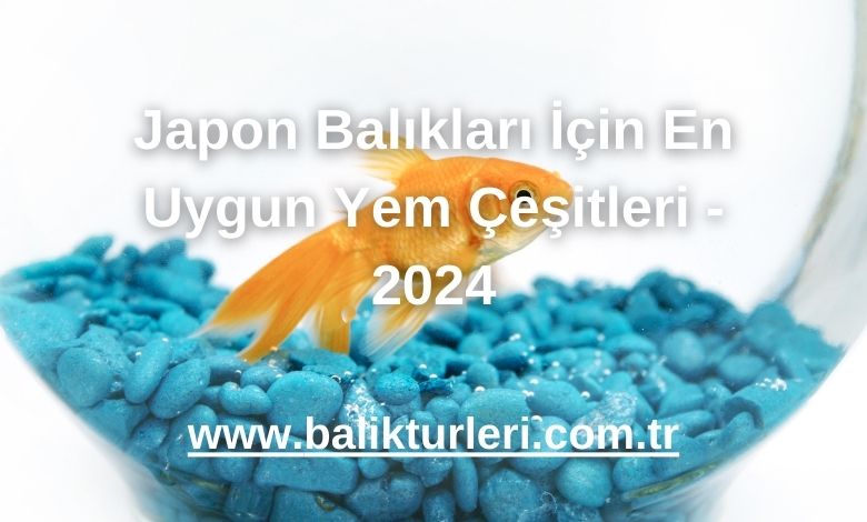 Japon Balıkları İçin En Uygun Yem Çeşitleri - 2024