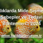 Balıklarda Mide Şişmesi: Sebepler ve Tedavi Yöntemleri - 2024