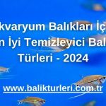 Akvaryum Balıkları İçin En İyi Temizleyici Balık Türleri - 2024