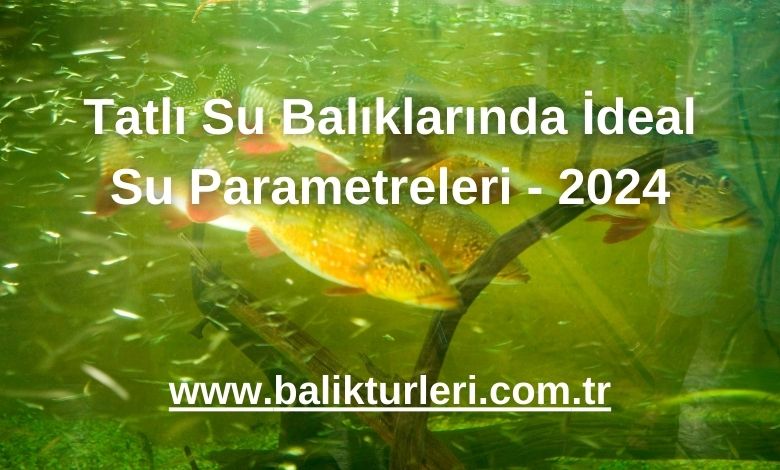 Tatlı Su Balıklarında İdeal Su Parametreleri - 2024
