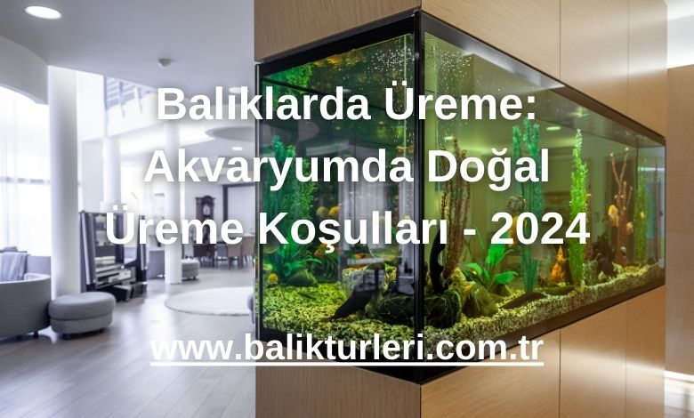 Balıklarda Üreme: Akvaryumda Doğal Üreme Koşulları - 2024
