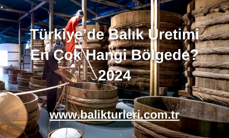 Türkiye’de Balık Üretimi En Çok Hangi Bölgede? 2024