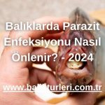 Balıklarda Parazit Enfeksiyonu Nasıl Önlenir? - 2024