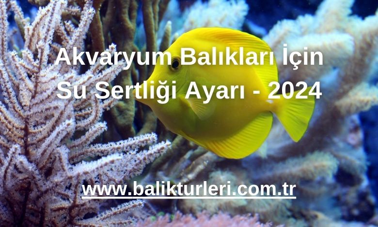 Akvaryum Balıkları İçin Su Sertliği Ayarı - 2024