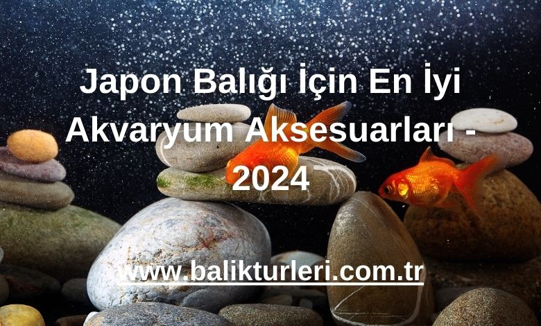 Japon Balığı İçin En İyi Akvaryum Aksesuarları - 2024
