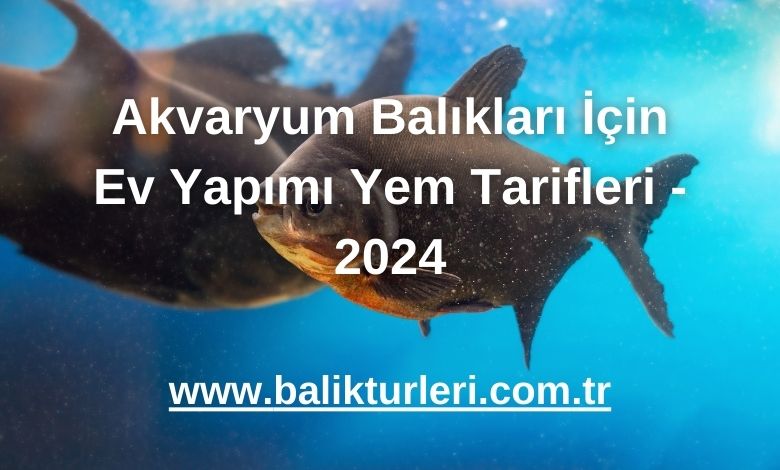 Akvaryum Balıkları İçin Ev Yapımı Yem Tarifleri - 2024