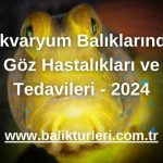 Akvaryum Balıklarında Göz Hastalıkları ve Tedavileri - 2024