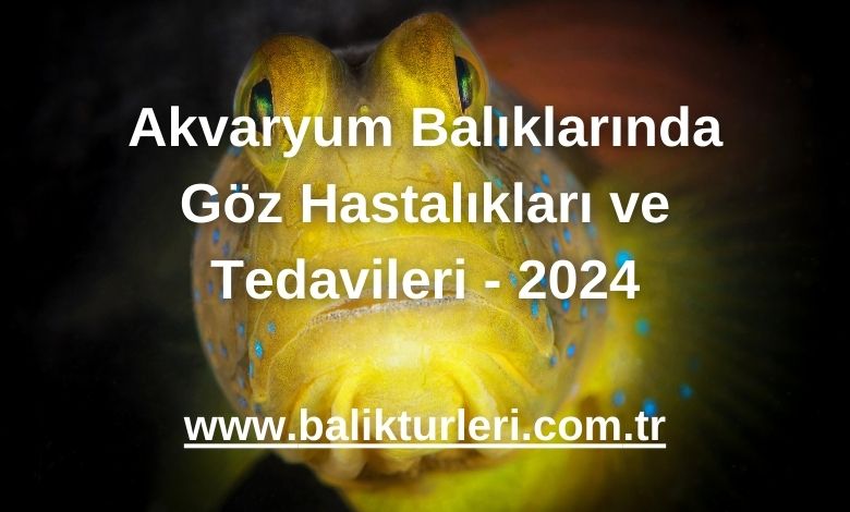 Akvaryum Balıklarında Göz Hastalıkları ve Tedavileri - 2024