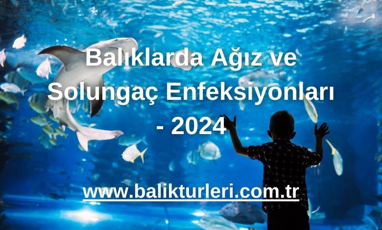 Balıklarda Ağız ve Solungaç Enfeksiyonları - 2024