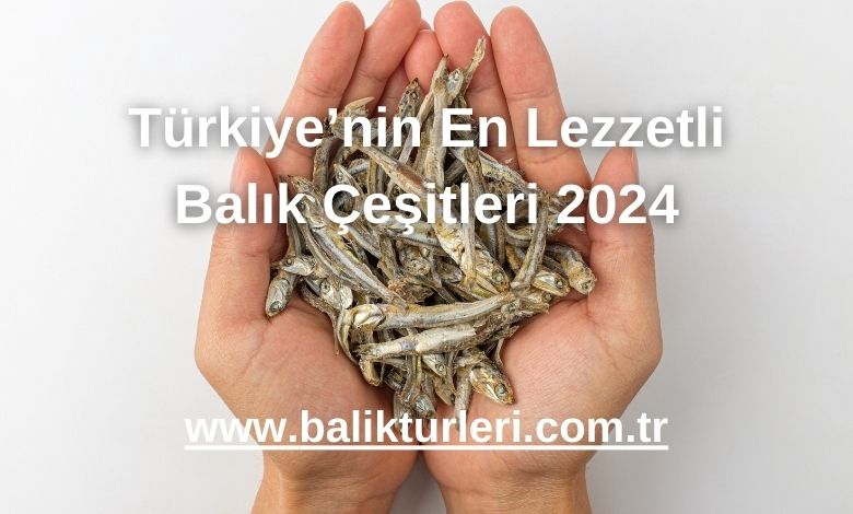 Türkiye’nin En Lezzetli Balık Çeşitleri 2024