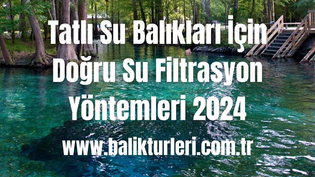 Tatlı Su Balıkları İçin Doğru Su Filtrasyon Yöntemleri 2024