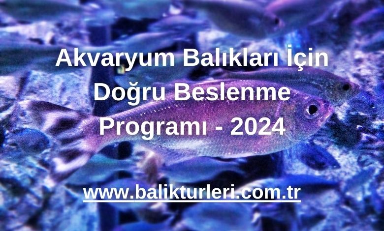 Akvaryum Balıkları İçin Doğru Beslenme Programı - 2024