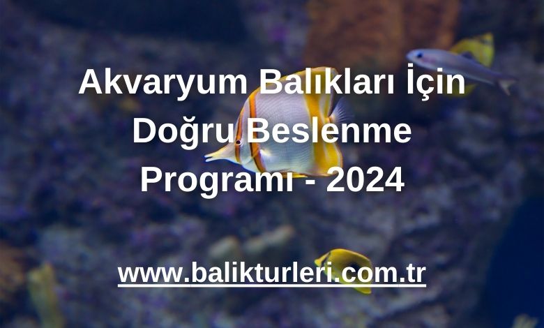 Akvaryum Balıkları İçin Doğru Beslenme Programı - 2024