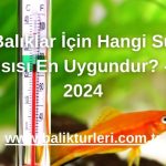 Balıklar İçin Hangi Su Isısı En Uygundur? - 2024