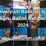 Akvaryum Balıkları İçin Doğru Bakım Rehberi - 2024