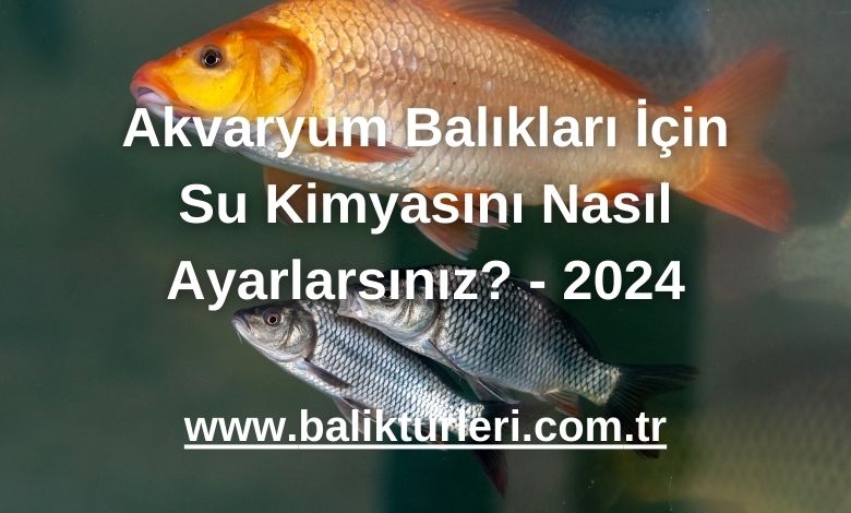 Akvaryum Balıkları İçin Su Kimyasını Nasıl Ayarlarsınız? - 2024