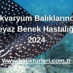 Akvaryum Balıklarında Beyaz Benek Hastalığı - 2024