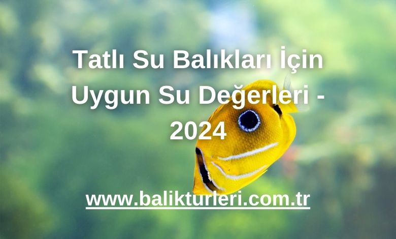 Tatlı Su Balıkları İçin Uygun Su Değerleri - 2024
