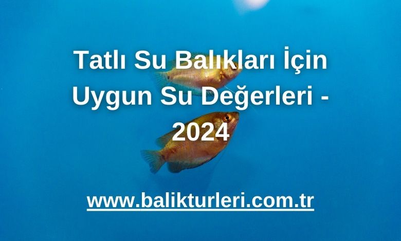 Tatlı Su Balıkları İçin Uygun Su Değerleri - 2024