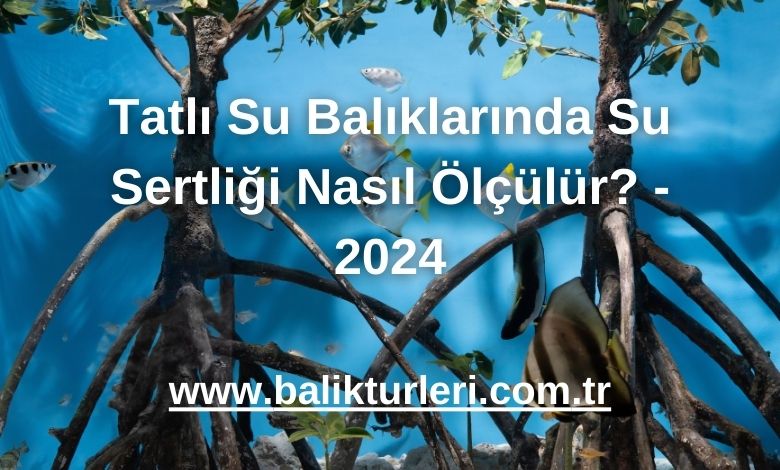 Tatlı Su Balıklarında Su Sertliği Nasıl Ölçülür? - 2024