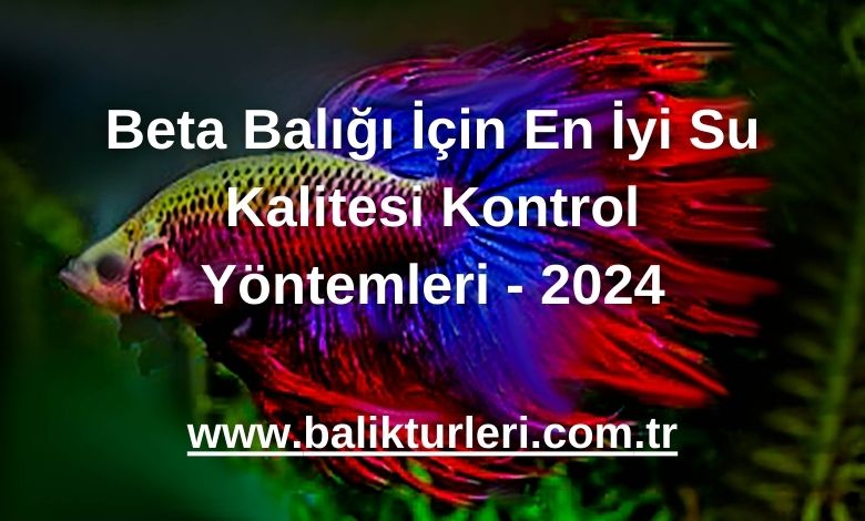 Beta Balığı İçin En İyi Su Kalitesi Kontrol Yöntemleri - 2024