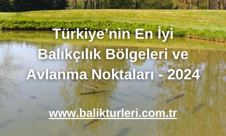 Eğirdir Gölü: Sazan ve Alabalık