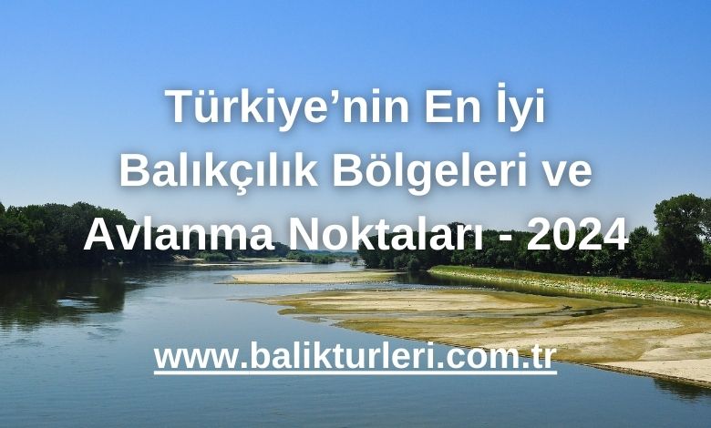 Meriç Nehri: Yayın ve Sazan Balığı