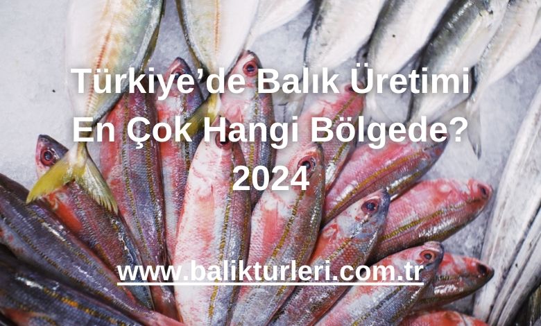 Ege Bölgesi: Balık Çiftlikleri ve Üretim