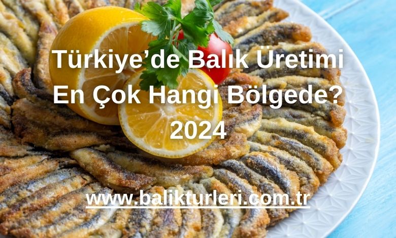 Karadeniz: Hamsi ve Palamut Üretimi