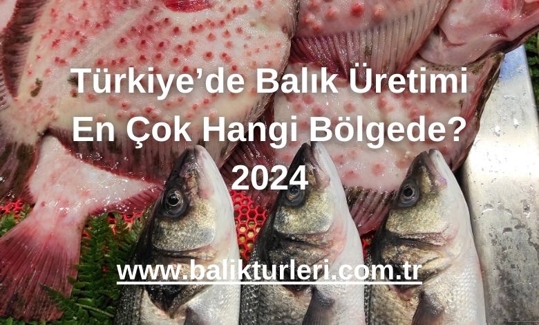 Marmara: Kalkan ve Lüfer Üretimi
