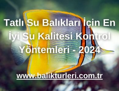 Tatlı Su Balıkları İçin En İyi Su Kalitesi Kontrol Yöntemleri - 2024