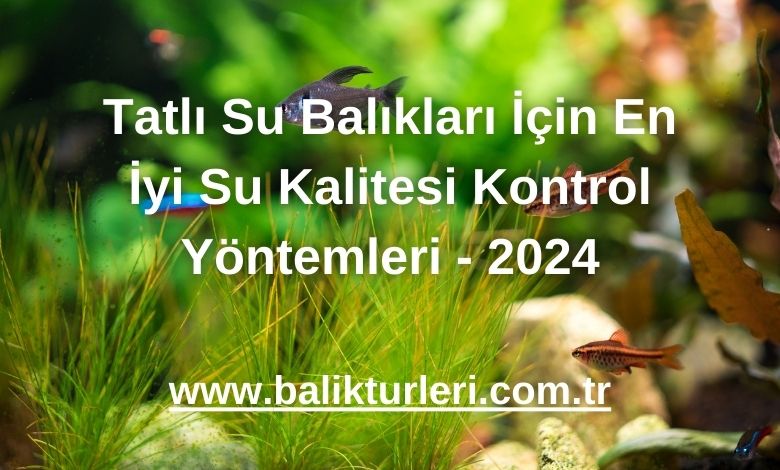 Tatlı Su Balıkları İçin En İyi Su Kalitesi Kontrol Yöntemleri - 2024