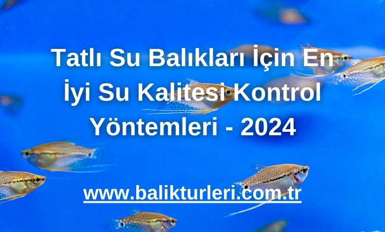 Tatlı Su Balıkları İçin En İyi Su Kalitesi Kontrol Yöntemleri - 2024