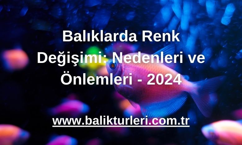 Balıklarda Renk Değişimi: Nedenleri ve Önlemleri - 2024