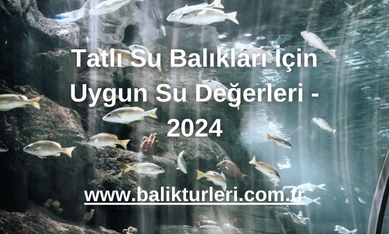 Tatlı Su Balıkları İçin Uygun Su Değerleri - 2024