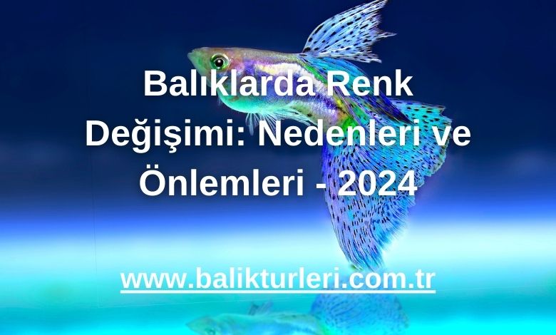 Balıklarda Renk Değişimi: Nedenleri ve Önlemleri - 2024