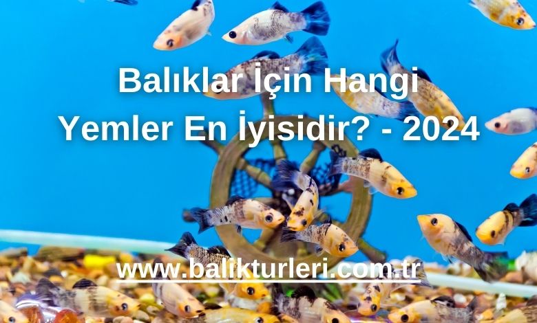Balıklar İçin Hangi Yemler En İyisidir? - 2024