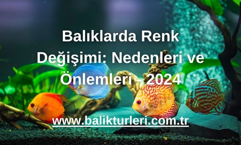 Balıklarda Renk Değişimi: Nedenleri ve Önlemleri - 2024