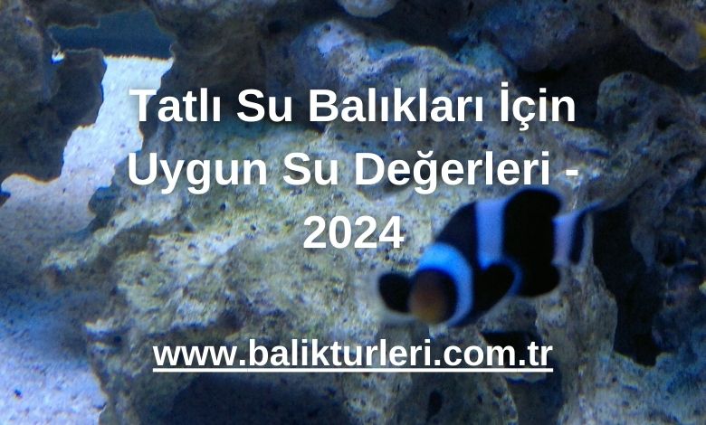 Tatlı Su Balıkları İçin Uygun Su Değerleri - 2024